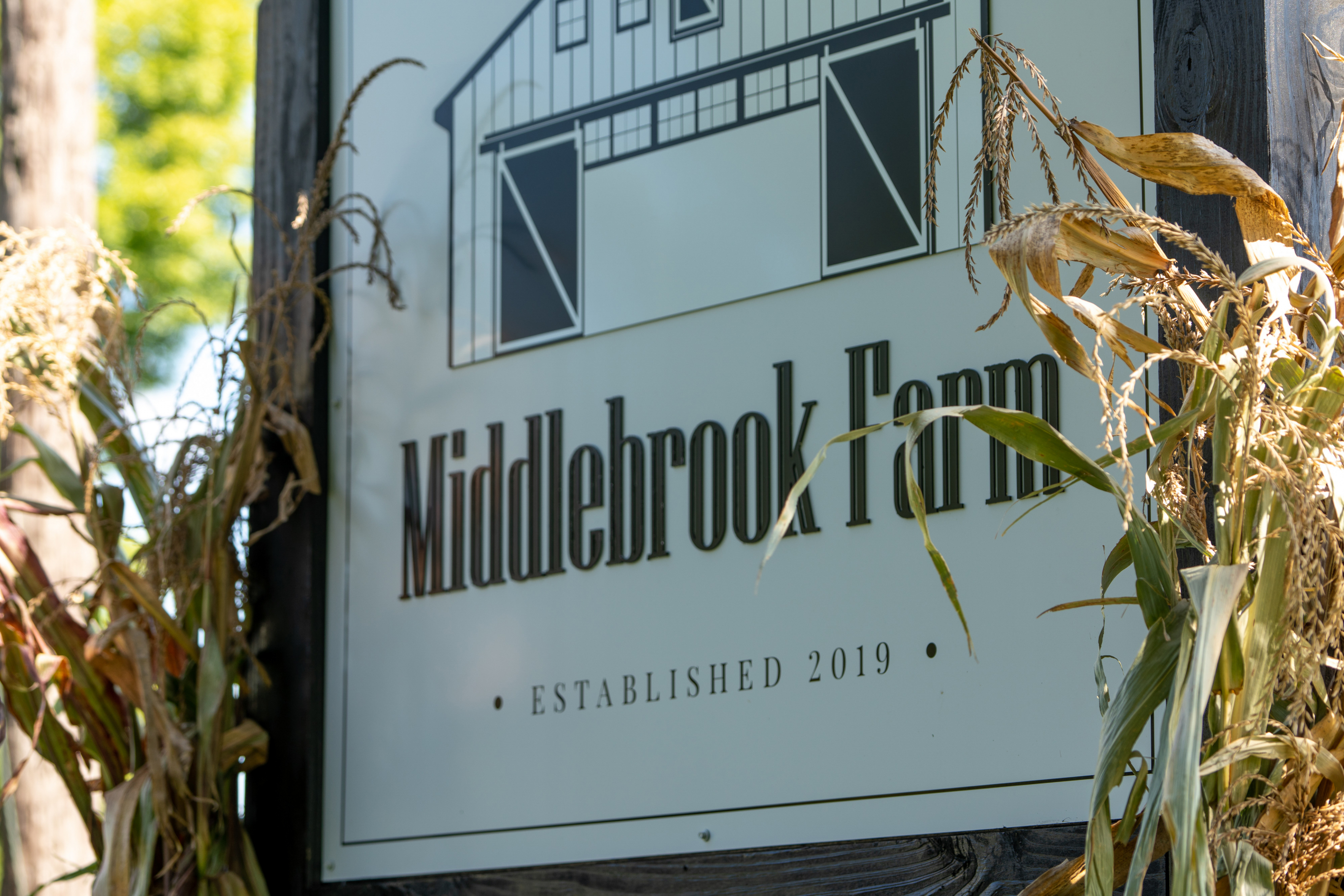 Middlebrook Sign